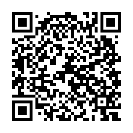 QR code for plate HIF 655