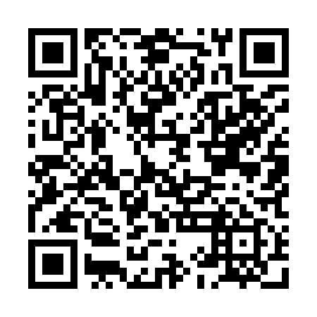 QR code for HIM 919