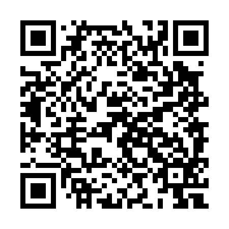 QR code for HIN096