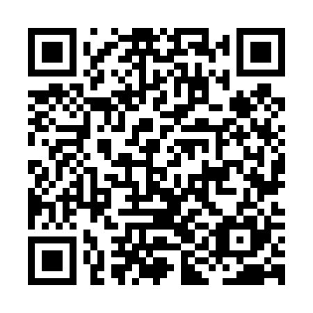QR code for plate HIN 425