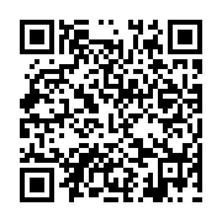 QR code for HIO 038