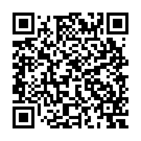 QR code for HIP 397