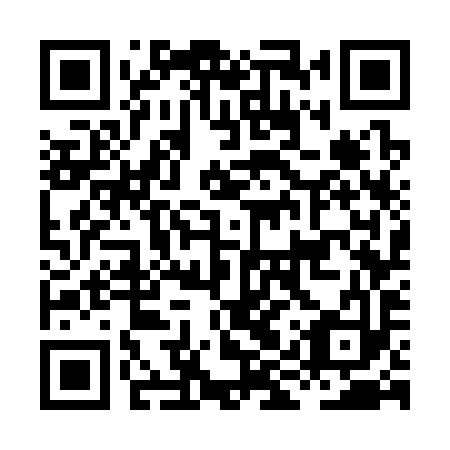 QR code for plate HIW 393