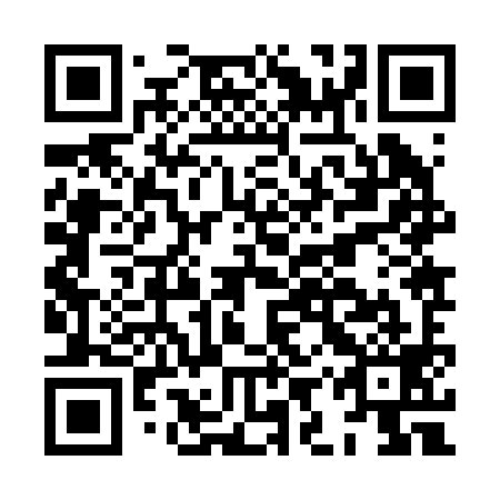 QR code for HIZ 299