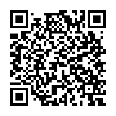 QR code for plate HIZ 367