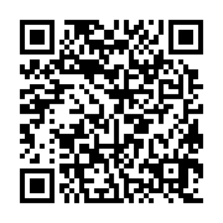 QR code for HJG384