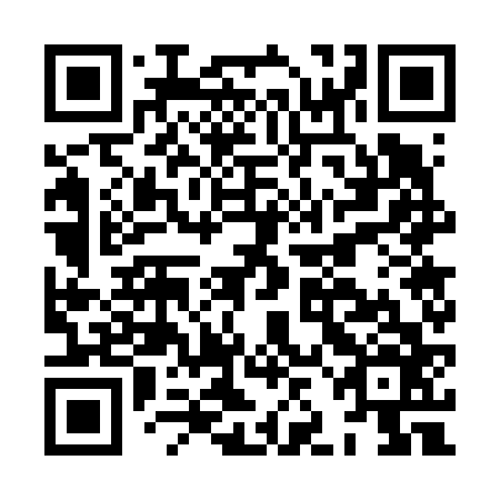 QR code for HJG666