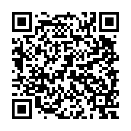 QR code for HJN 493