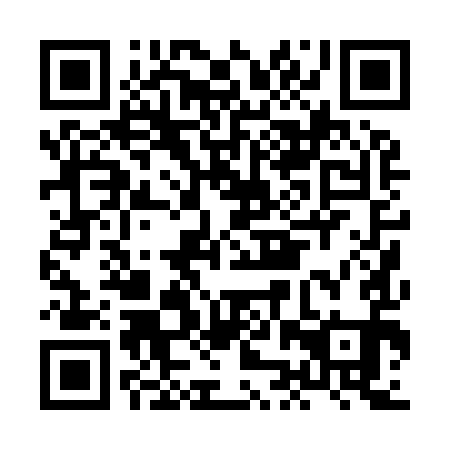 QR code for plate HJP 991