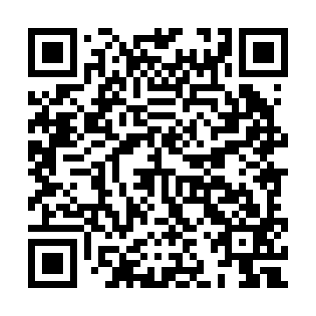 QR code for HJX 293