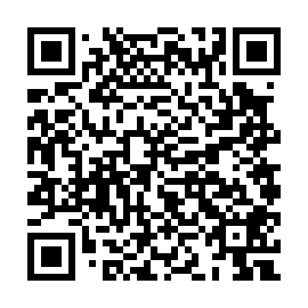 QR code for plate HKF 008