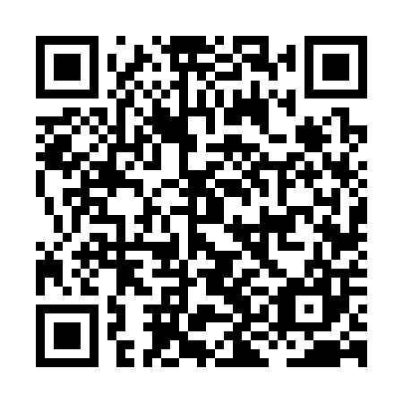 QR code for plate HKF 307