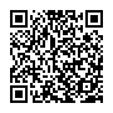 QR code for plate HKH 101