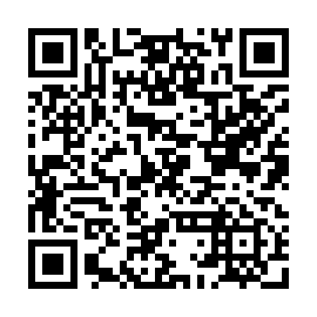 QR code for HLJ 919