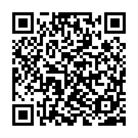QR code for plate HLJ 155