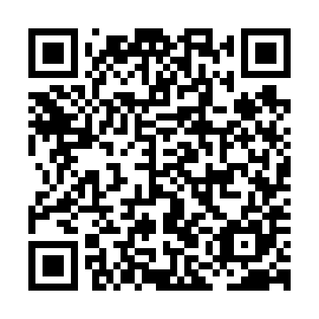 QR code for plate HMG 685