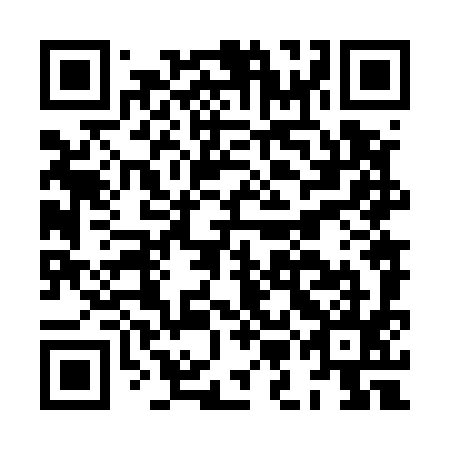 QR code for HMN 595