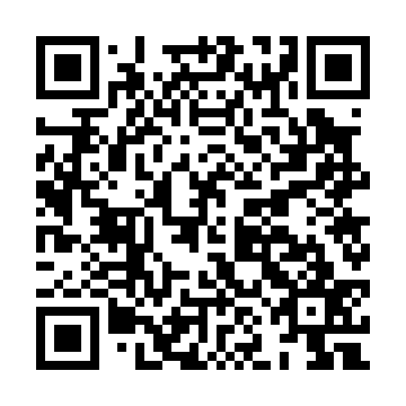 QR code for plate HNG 037
