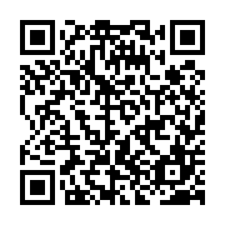 QR code for plate HNG 506