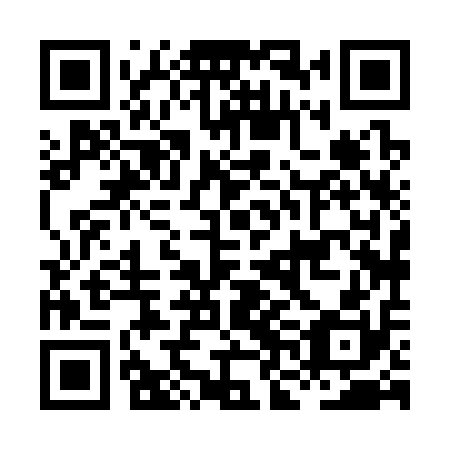 QR code for plate HNH 310