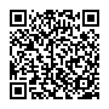 QR code for HNI 101