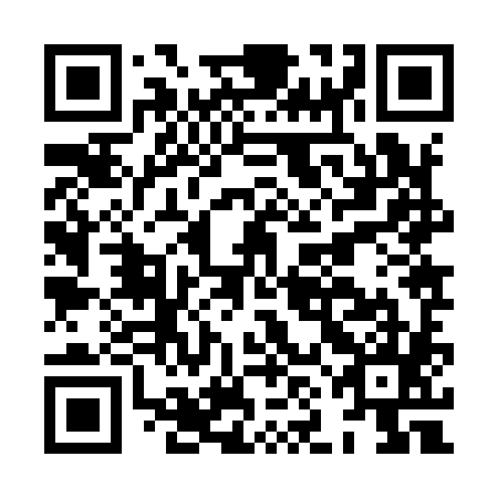 QR code for plate HNJ 985
