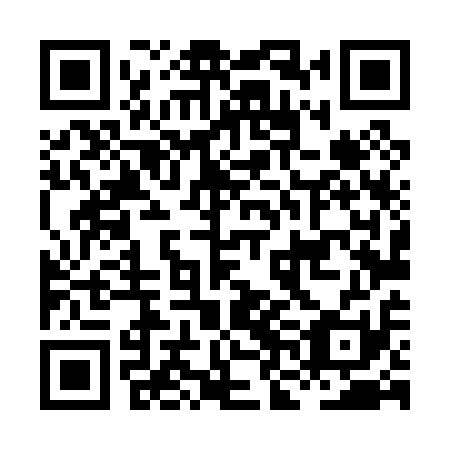 QR code for HNL011
