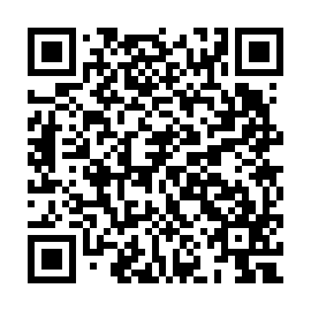 QR code for HNS697