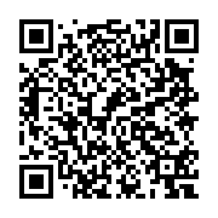 QR code for HNY010
