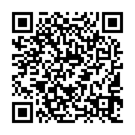 QR code for plate HOM 913