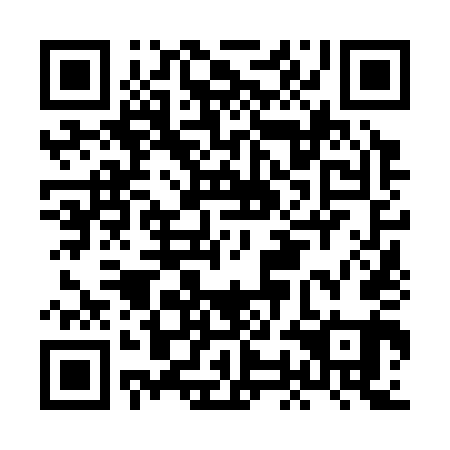 QR code for HON 341