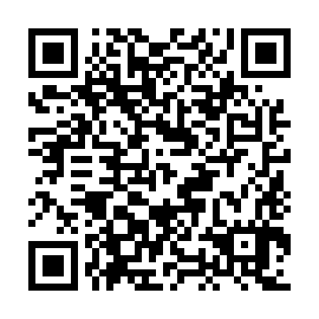 QR code for plate HON 587