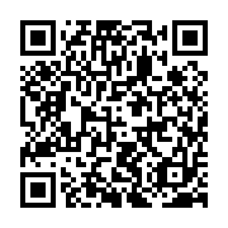 QR code for plate HOY 113