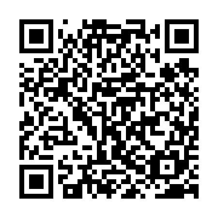 QR code for plate HPA 655