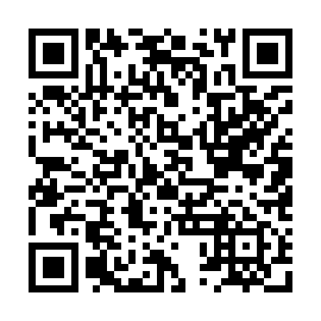 QR code for HPE 919