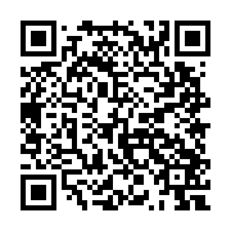 QR code for HPM 743