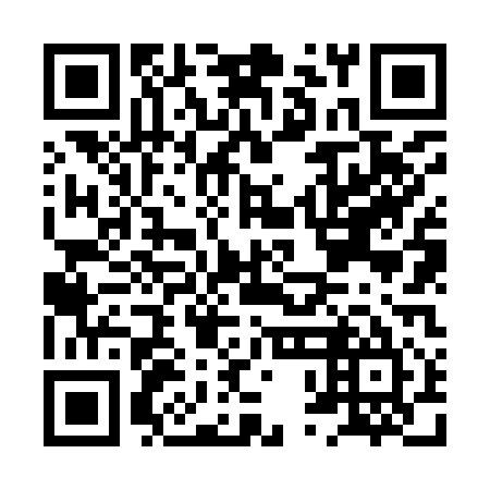 QR code for plate HPN 915