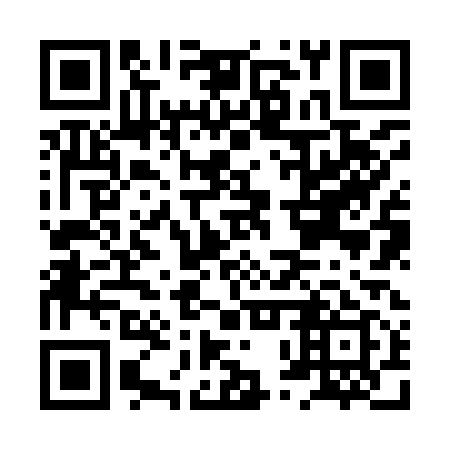 QR code for HPZ 919