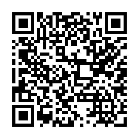 QR code for plate HQG 985