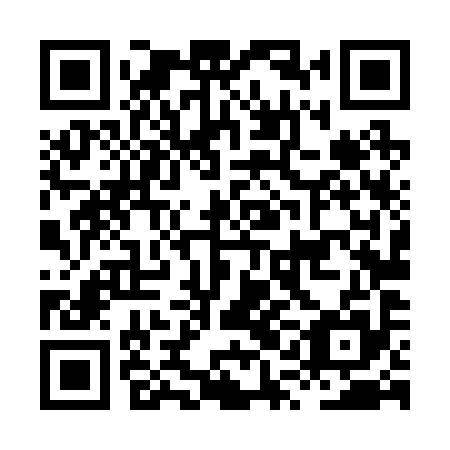 QR code for HQL 295