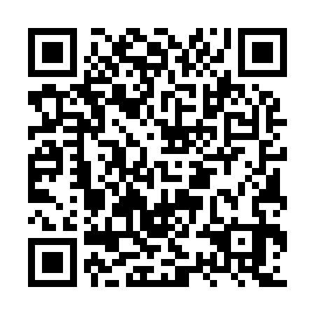QR code for HSE 933