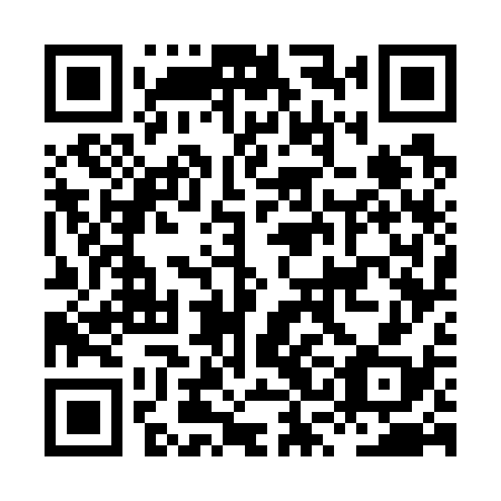QR code for plate HSG 738