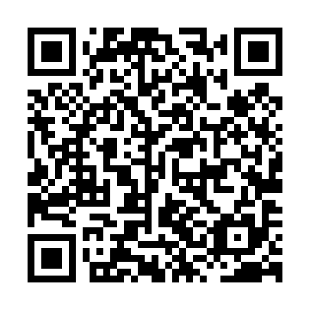 QR code for plate HSL 495