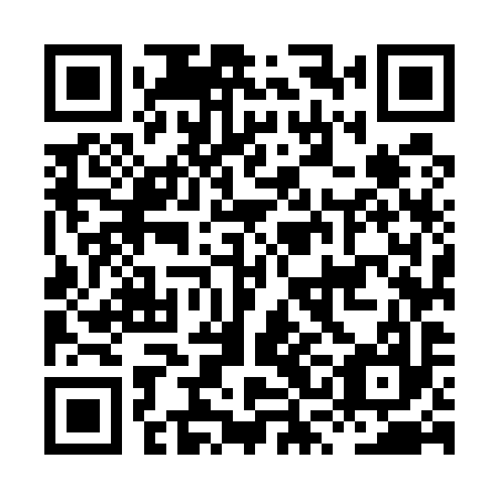 QR code for plate HSM 597