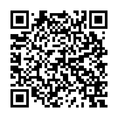QR code for HSP 369