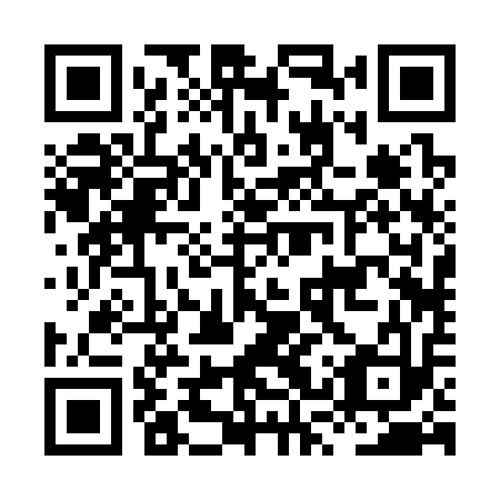 QR code for HSR 313