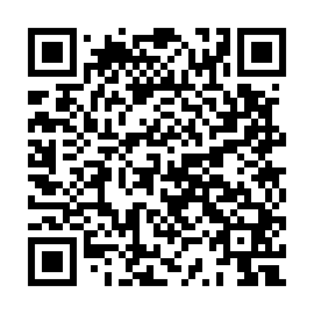 QR code for HSS 540