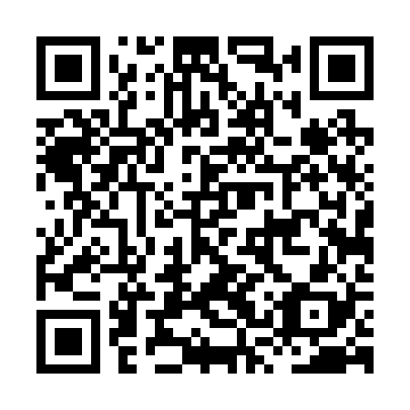QR code for HST 228