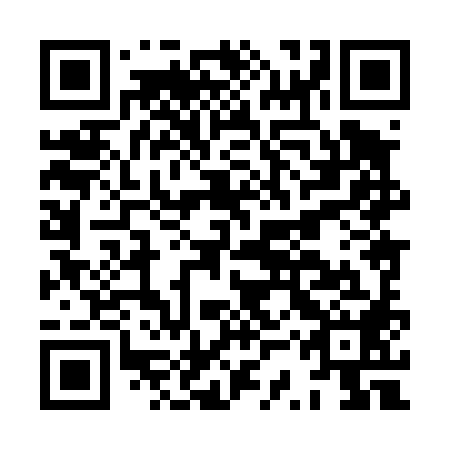 QR code for plate HSX 488