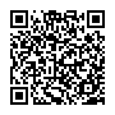QR code for HUF 384